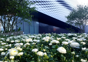 Baselworld 2017 flower beds